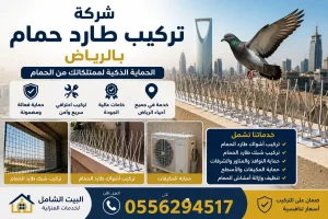 تركيب أشواك طارد الحمام بالرياض باستخدام ستانلس ستيل مقاوم للصدأ لحماية النوافذ والأسطح من تجمع الحمام.